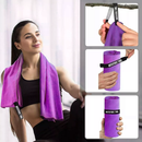 2 Serviettes en Microfibre | Violet ou Bleu